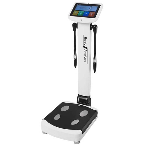 Human body composition - body,