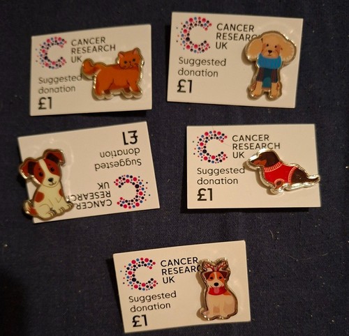 Charity pin badge cat x4 - pin,