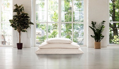 Two merino wool filled pillow - merino,