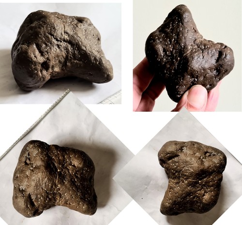 Small juvenile dinosaur - small,