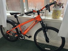 Stinger Terrano Mountain Bike – Nearly New Condition! Teenager