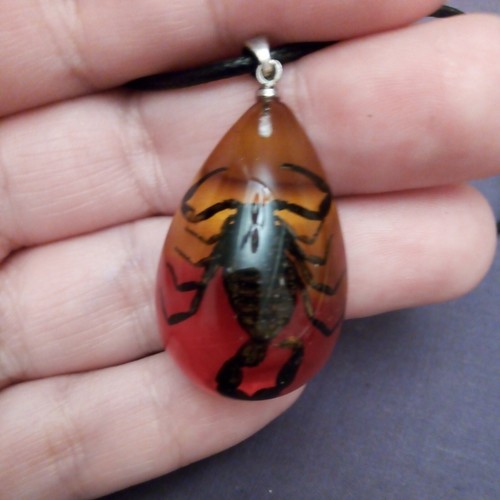 Natural rare black scorpion - natural,