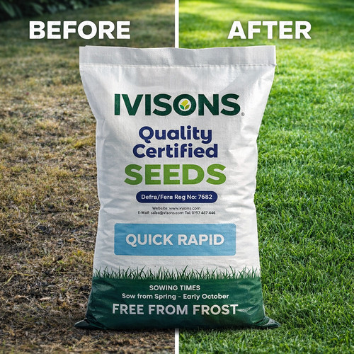Quick rapid fast - fast, growing
