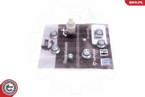 Esen skv 49skv533 repair - skv, kit