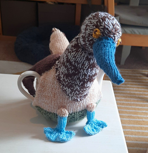 Handmade wool knitted tea - tea, cosy