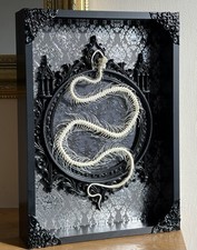 Real White- Lipped Pit Viper