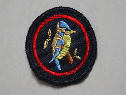 Girl guide patrol badge - patrol, blue