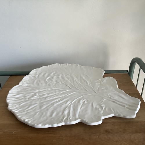 India jane white cabbage - jane, leaf