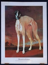 GREYHOUND HUGE Dog Art Print - by Count Bernard de Claviere d'Hust