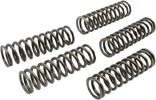Ebc clutch spring - ebc, kit