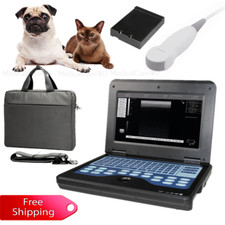 veterinary VET ultrasound
