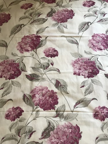 Laura ashley hydrangea - ashley, grape