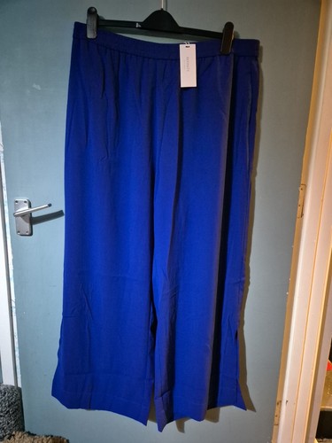 Bnwt evans city - chic, 16