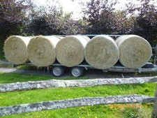 Round Bale Hay