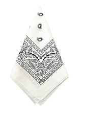 Bandana Cotton Paisley Mouth