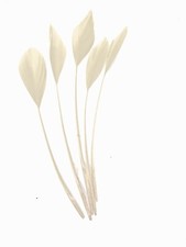 Long Fascinators Feathers