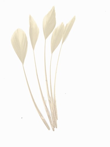 Long fascinators feathers - fascinators,