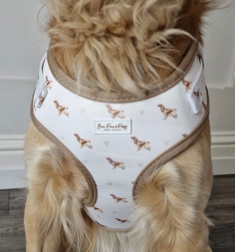 Dog harness and lead set - harness, with