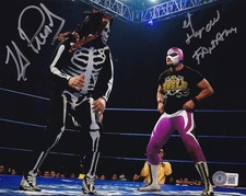 El Hijo del Fantasma La Parka