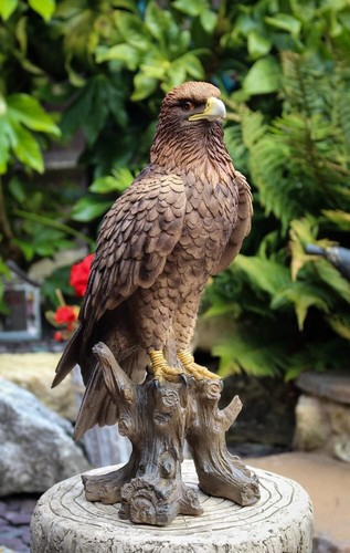 Vivid arts golden eagle - vivid,