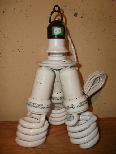 300 watt cfl budget - budget, combo