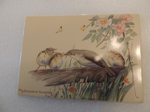Vilbo card willow - vilbo,