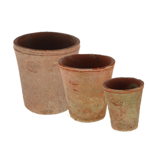 Plant flower pots terracotta - plant,
