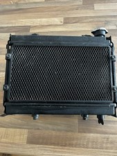 Dinli / Quadzilla 450 Radiator
