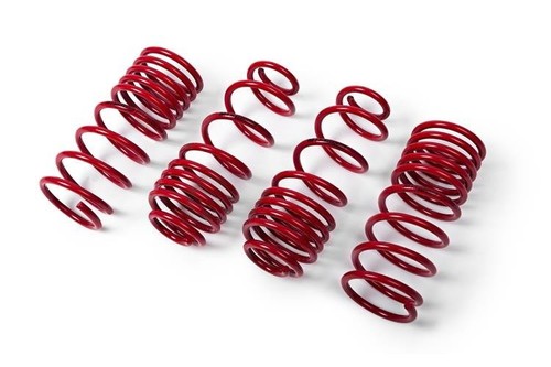 Mts technica lowering springs - mts,