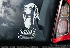 SALUKI Car Sticker, Hound