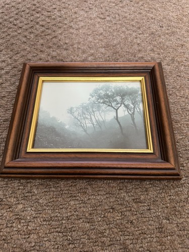 Framed sepia photo print - print, by