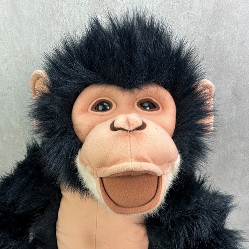 Discovery channel chimpanzee - discovery,