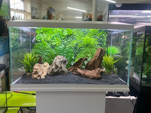 Vibrant lifelike plastic plant - lifelike,