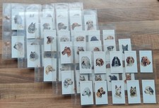 DOG'S HEADS BY PETER BIEGEL =