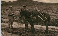 AFTER THE CHASE - HUNT HUNTING STAG - C REID - POSTCARD