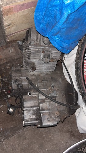 Big bear 350cc engine - big,