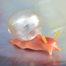 Rare South Sea Baroque Pearl Snail Pendant Carved Apricot Trumpet Shell 6.69g