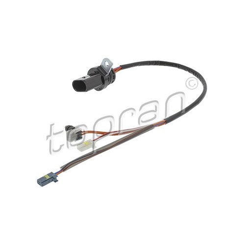 Harness automatic box for - automatic,