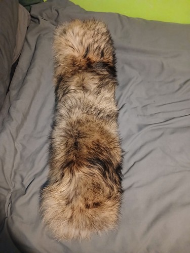 Arctic army finn raccoon - army,