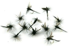 Black Gnat Classic Fly Fishing
