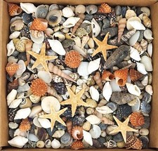 Tiny Mixed Small Craft