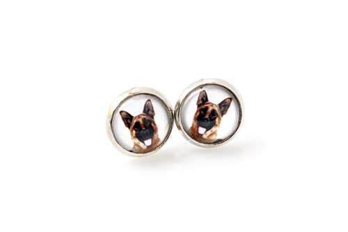 German shepherd dog - dog,, alsatian