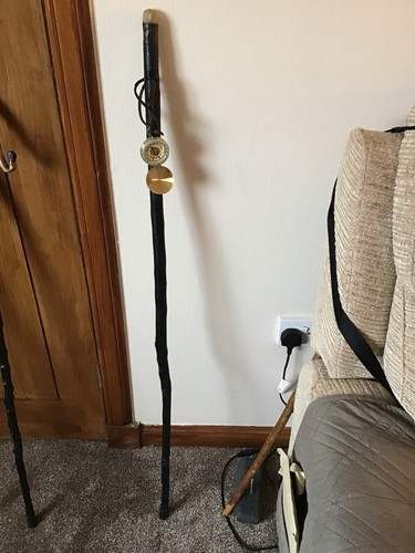 Blackthorn walking stick - walking,