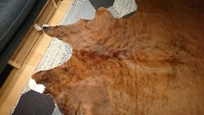 New  KOLDBY Cow hide Brown