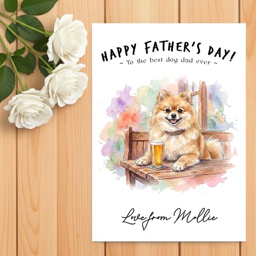 Pomeranian fawn father - pomeranian,