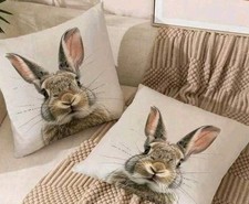 1 X Beautiful Hare Rabbit