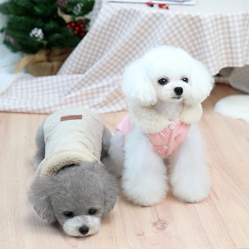 Winter dog jacket - dog, warm
