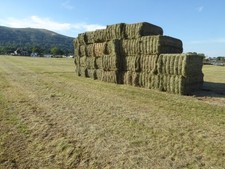 Photo 6x4 Hay bales on Malvern