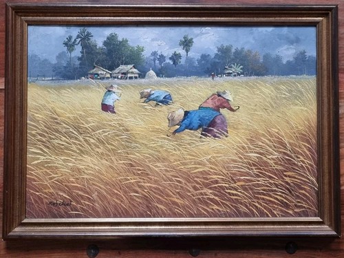 Thailand rice harvesting - rice,