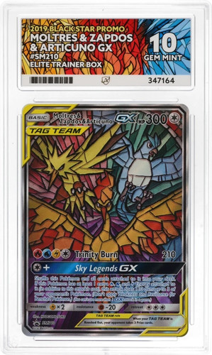 Stained glass birds - stained, tag